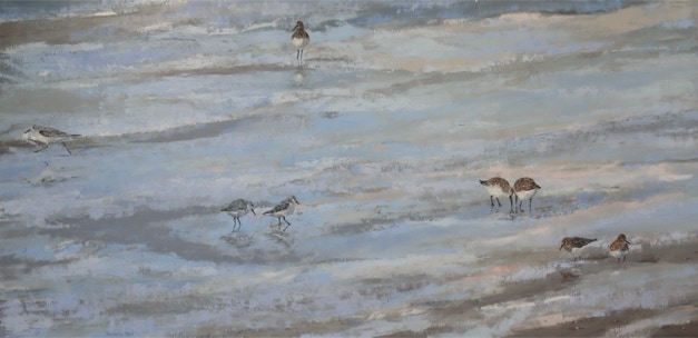 Strandlopertjes 