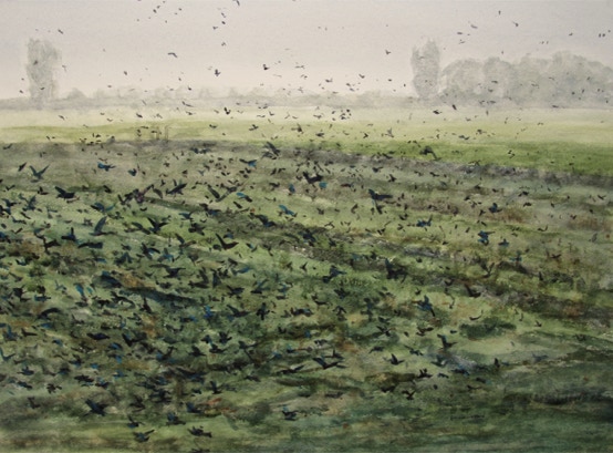 Zwarte sneeuw in Offingawier, aquarel 50 x 73 cm
